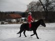 fotky_3_067.jpg
